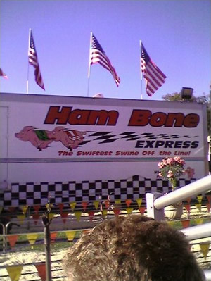 picture of the san mateo pig races